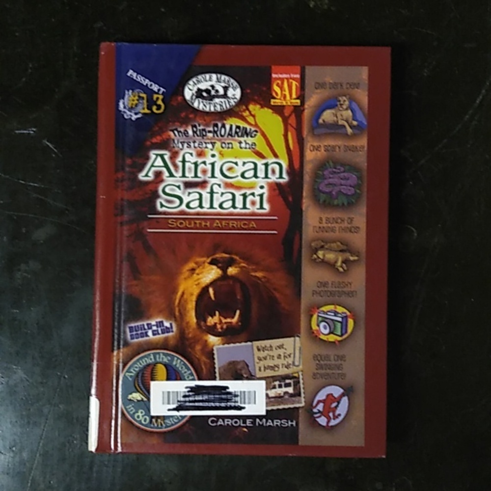 African Safari Mystery Children's Picture Chapter Book Junior Fiction Homeschool